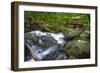 Runneth Over-Eye Of The Mind Photography-Framed Photographic Print