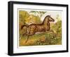 Running Amidst the African Flora-null-Framed Art Print