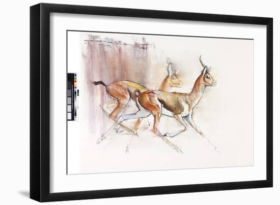 Running Arabian Gazelles, 2010-Mark Adlington-Framed Giclee Print