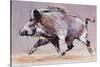 Running Boar, 1999-Mark Adlington-Stretched Canvas