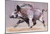 Running Boar, 1999-Mark Adlington-Mounted Premium Giclee Print