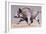 Running Boar, 1999-Mark Adlington-Framed Giclee Print