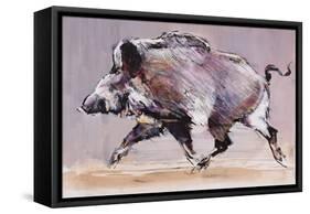 Running Boar, 1999-Mark Adlington-Framed Stretched Canvas