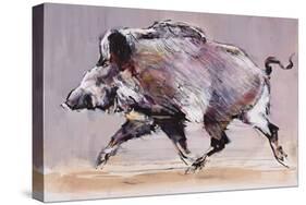 Running Boar, 1999-Mark Adlington-Stretched Canvas