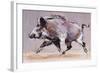 Running Boar, 1999-Mark Adlington-Framed Giclee Print