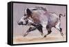 Running Boar, 1999-Mark Adlington-Framed Stretched Canvas