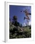 Running, Boulder, Colorado, USA-Lee Kopfler-Framed Photographic Print