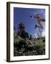 Running, Boulder, Colorado, USA-Lee Kopfler-Framed Photographic Print