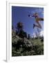 Running, Boulder, Colorado, USA-Lee Kopfler-Framed Photographic Print