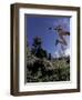 Running, Boulder, Colorado, USA-Lee Kopfler-Framed Photographic Print