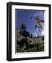 Running, Boulder, Colorado, USA-Lee Kopfler-Framed Photographic Print