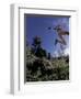 Running, Boulder, Colorado, USA-Lee Kopfler-Framed Photographic Print