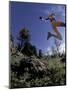 Running, Boulder, Colorado, USA-Lee Kopfler-Mounted Photographic Print