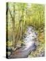 Running Brook-Joanne Porter-Stretched Canvas