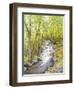 Running Brook-Joanne Porter-Framed Giclee Print