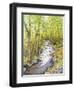 Running Brook-Joanne Porter-Framed Giclee Print