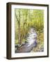 Running Brook-Joanne Porter-Framed Giclee Print