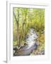 Running Brook-Joanne Porter-Framed Giclee Print