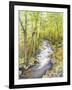 Running Brook-Joanne Porter-Framed Giclee Print