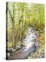 Running Brook-Joanne Porter-Stretched Canvas