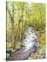 Running Brook-Joanne Porter-Stretched Canvas