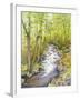 Running Brook-Joanne Porter-Framed Giclee Print