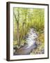 Running Brook-Joanne Porter-Framed Giclee Print