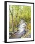 Running Brook-Joanne Porter-Framed Giclee Print