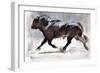 Running Bull, 2022, (charcoal and pastel on paper)-Mark Adlington-Framed Giclee Print