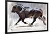 Running Bull, 2022, (charcoal and pastel on paper)-Mark Adlington-Framed Giclee Print