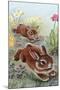 Running Bunnies-Judy Mastrangelo-Mounted Giclee Print