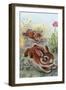 Running Bunnies-Judy Mastrangelo-Framed Giclee Print