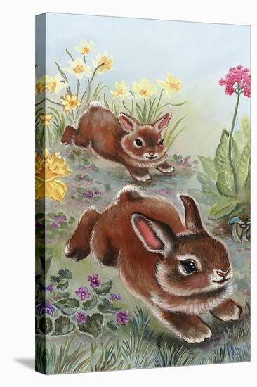 Running Bunnies-Judy Mastrangelo-Stretched Canvas