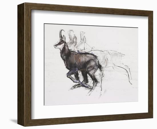 Running Chamois-Mark Adlington-Framed Giclee Print