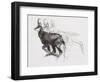 Running Chamois-Mark Adlington-Framed Giclee Print