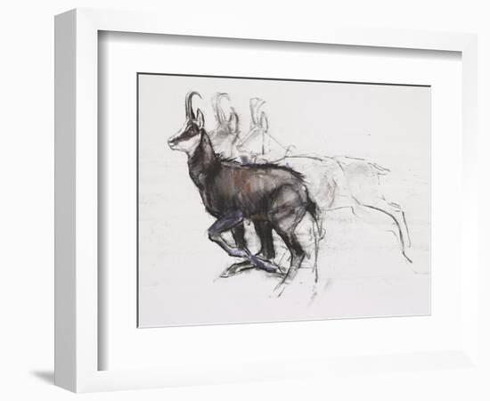 Running Chamois-Mark Adlington-Framed Giclee Print