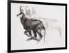 Running Chamois-Mark Adlington-Framed Giclee Print