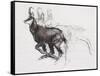 Running Chamois-Mark Adlington-Framed Stretched Canvas