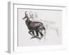 Running Chamois-Mark Adlington-Framed Giclee Print