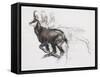 Running Chamois-Mark Adlington-Framed Stretched Canvas