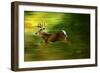 Running Deer-Spencer Williams-Framed Giclee Print