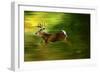 Running Deer-Spencer Williams-Framed Giclee Print