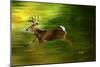 Running Deer-Spencer Williams-Mounted Giclee Print