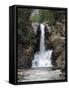 Running Eagle Falls, Glacier National Park, Montana, USA-Michel Hersen-Framed Stretched Canvas