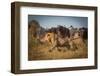 Running for His Life-Marc Meijlaers-Framed Photographic Print