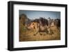 Running for His Life-Marc Meijlaers-Framed Photographic Print