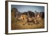 Running for His Life-Marc Meijlaers-Framed Photographic Print