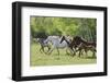 Running Free-Orah Moore-Framed Art Print