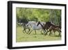 Running Free-Orah Moore-Framed Art Print