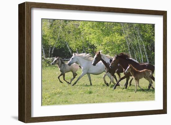 Running Free-Orah Moore-Framed Art Print